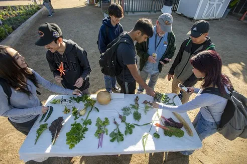 Customer Referral Program