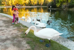 The Best Kid-Friendly Parks, Playgrounds, and Indoor Fun in Orlando
