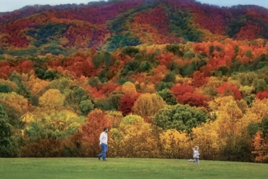 Father and young child walking in a park with vibrant autumn foliage
