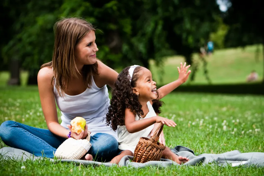 Professional sitters can handle every season. Here's how to stay prepared for weather, schedule shifts, and holiday disruptions all year.
