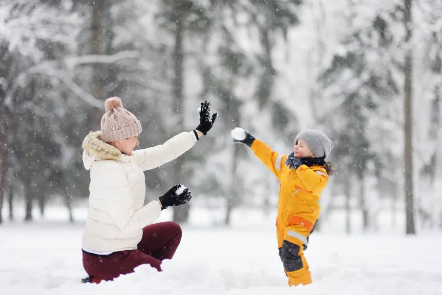 Professional sitters can handle every season. Here's how to stay prepared for weather, schedule shifts, and holiday disruptions all year.