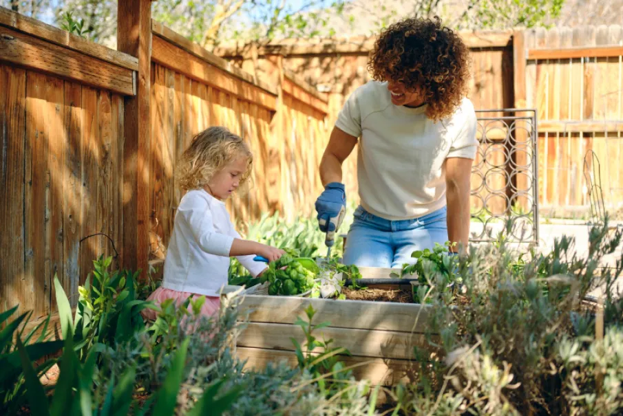 Parent and child gardening together in a sunny backyard
