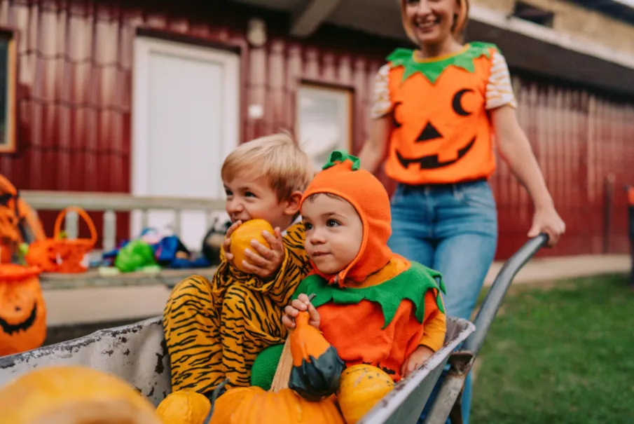 Children in pumpkin and tiger costumes holding pumpkins in a wheelbarrow during Halloween.
