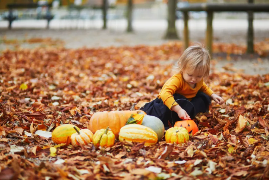 Toddler playing with pumpkins in autumn leaves