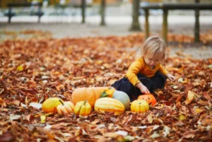 Toddler playing with pumpkins and autumn leaves in a park.
