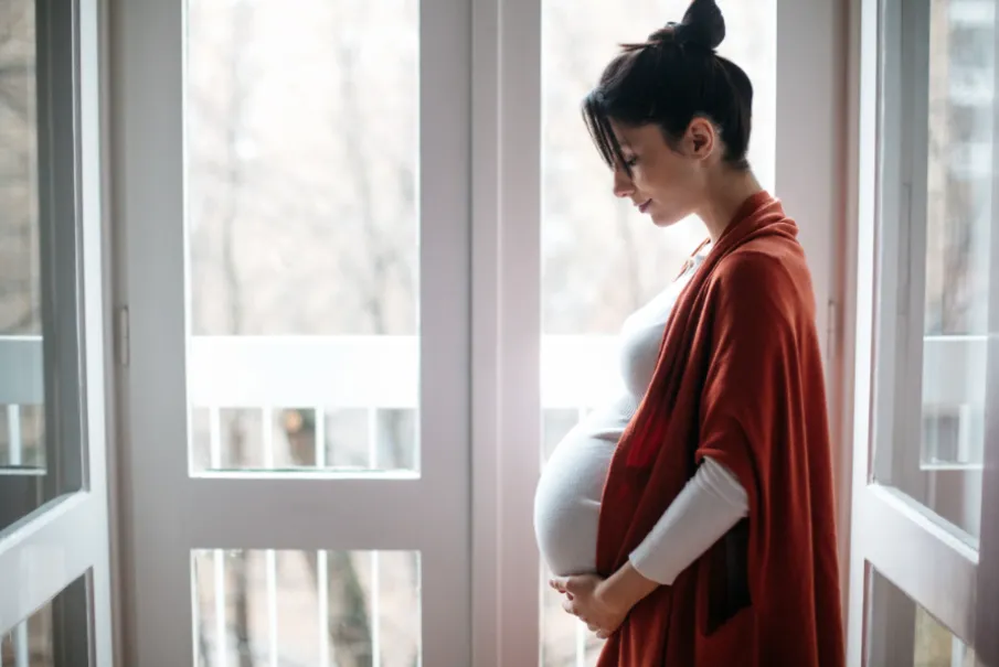 Pregnant woman standing by large window with hands on belly.