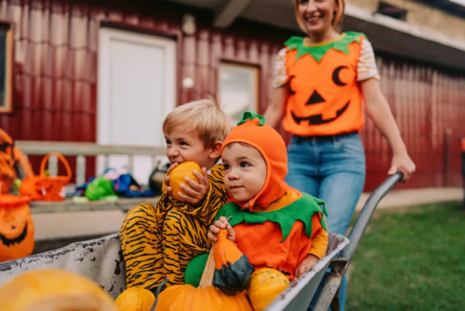 while being pushed by an adult in a pumpkin-themed shirt.